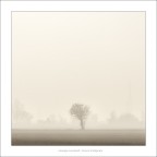 Inverno trasfigurato Inverno trasfigurato