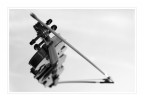 il violino il violino