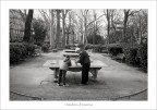 Giardino d'inverno Giardino d'inverno