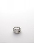 The Ring The Ring
