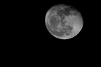 La luna illuminata anche dalla luce riflessa da Giove (7/1/2015).
Olympus E-5 + 70-300mm f/4-5.6