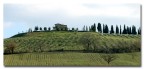 Paesaggio collinare!!! Paesaggio collinare!!!