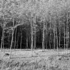 Val Bavona Val Bavona