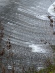 Qualche anno fa, i ragazzi che non potevano permettersi di andare al mare, venivano d'estate in questo posto, al fiume Ombrone, a due passi da Grosseto, per fare il bagno. Questo era praticamente un toboga acquatico naturale