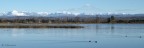 Riserva Naturale Isola della Cona, foce fiume Isonzo