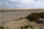 Camargue, L'tang du Fangassier, 07/09/2014 ore 15:24