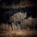 Lungo Reno Lungo Reno