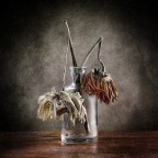 Natura....morta Natura....morta