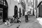 Apprendisti  &quot;biciclettai&quot;