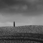 Solo in attesa della pioggia Solo in attesa della pioggia