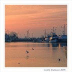 That special... light That special... light