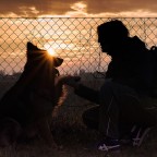 Patto di alleanza.. Patto di alleanza..