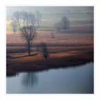 prime luci prime luci