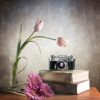 Kiev (omaggio a vecchia signora) Kiev (omaggio a vecchia signora)