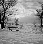 Neve al lago. Neve al lago.