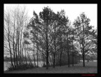 Parco della colletta (Torino)
ISO: 100
tempo: 1/370
f:3.7