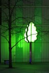 Alberi Alberi