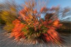 Autunno Autunno