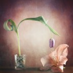 Senza titolo Senza titolo