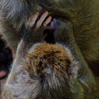 e poi dicono che non siamo parenti!!!!! e poi dicono che non siamo parenti!!!!!