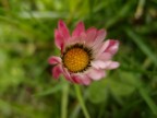 Una idea di primavera Una idea di primavera