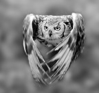 give me your eyes give me your eyes