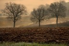Campagna Mugellese 3 Campagna Mugellese 3
