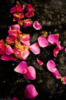 un mazzetto di rose abbandonato in un parco, prima mattinata