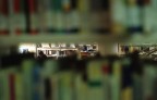 La testa tra i libri La testa tra i libri