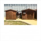 Nardò (LE) - 2015 Nardò (LE) - 2015