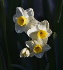 Baciati dal sole