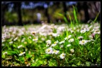 E' Primaveraaaaaa E' Primaveraaaaaa