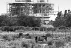Cavallo e Industria Cavallo e Industria
