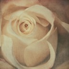 Bellezza Interiore Bellezza Interiore