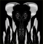 ultimo Sciamano ultimo Sciamano