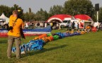 ..alcuni scatti al  Balloons Festival di Ferrara