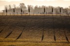Campagne Toscane Campagne Toscane