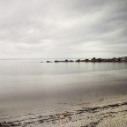 un poco di rosa un poco di rosa