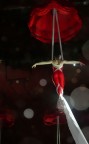 Al Circo...Cartoon Style