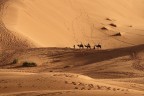 La foto  stata scattata nel deserto di Erg Chebbi (Marocco)