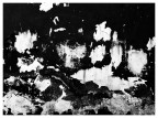 ''' '''