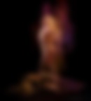 ... A Phoenix from the fire. ... A Phoenix from the fire.