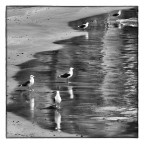 Il bagno della domenica Il bagno della domenica