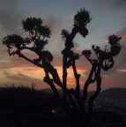 Tramonto ischia... Tramonto ischia...