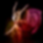 The Flame Dance The Flame Dance