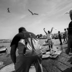 Catch of the day Catch of the day