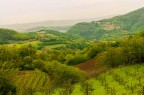 Sinuose colline Sinuose colline