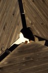 Vita nel legno Vita nel legno