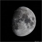 sigma 400 5.6 apo tele macro + kenko mc4 2.0x su canon 60D (1280 mm focale equivalente) ... crop 2020 x 2020 px (da 5184 x 3456 px)