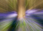 HALLERBOS HALLERBOS
